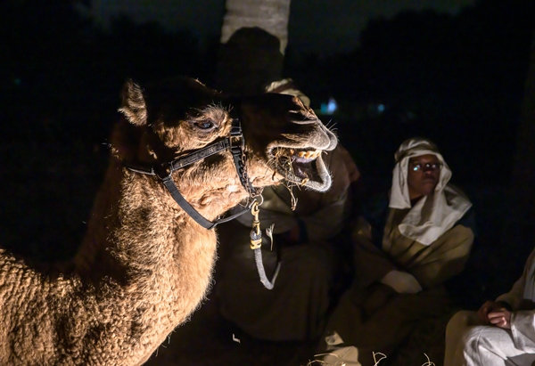 Journey to Bethlehem